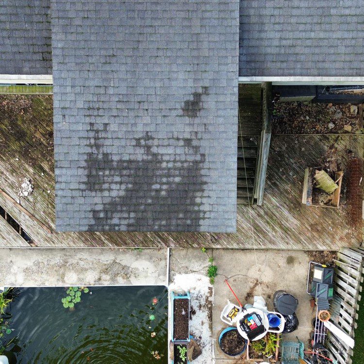 Roof Washing