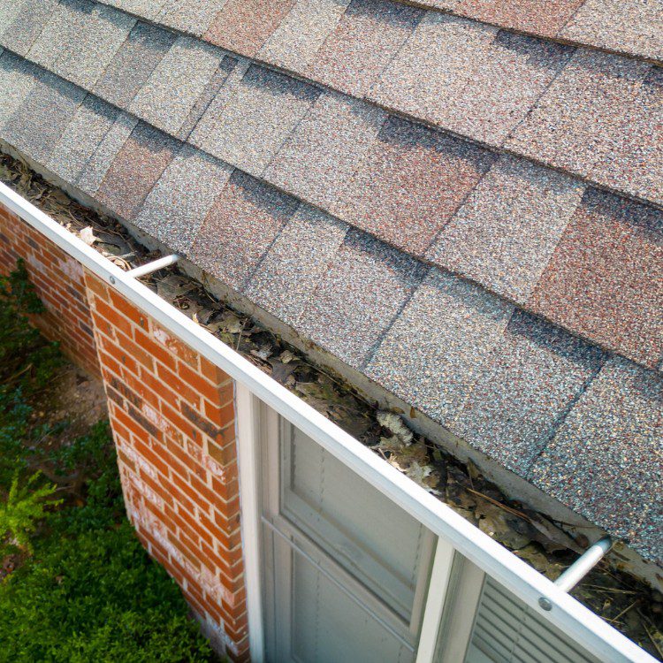Gutter Cleaning